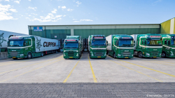 20260704-Cuppen-00229